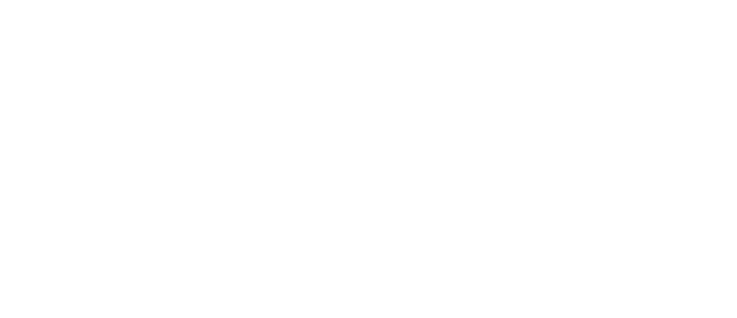 The Chicago Journal